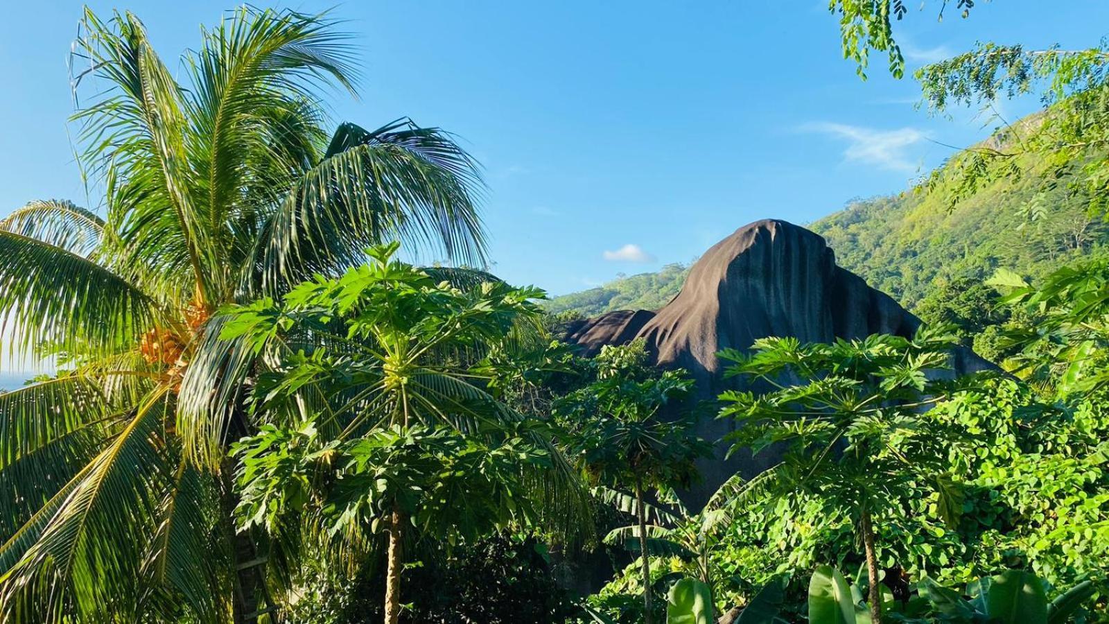 Josies Cottage Beau Vallon  Buitenkant foto
